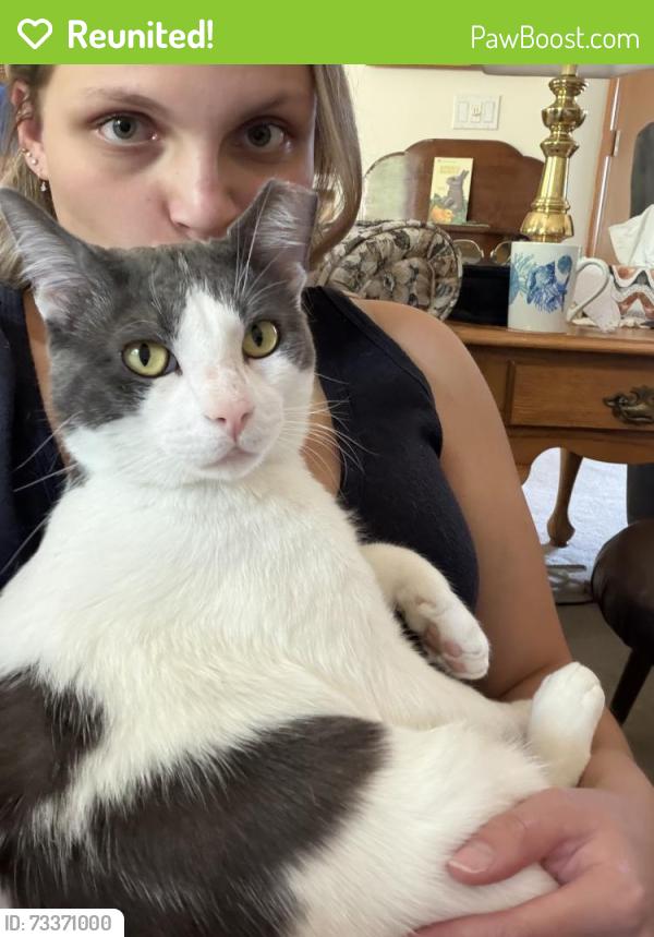 Reunited Male Cat last seen Near 33rd Avenue Ct SW Puyallup, WA 98373 United States, Puyallup, WA 98373