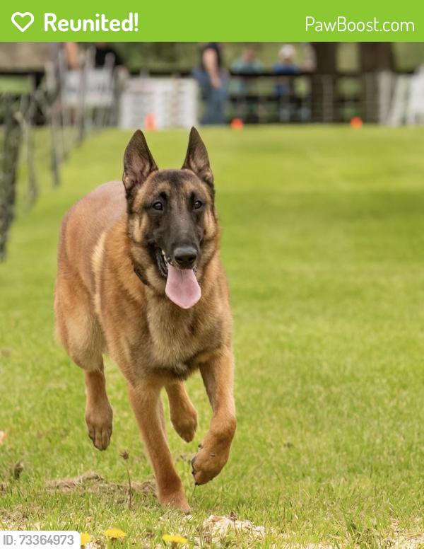 Reunited Male Dog last seen Springs Rd and 229, Jeffersonton, VA 22724