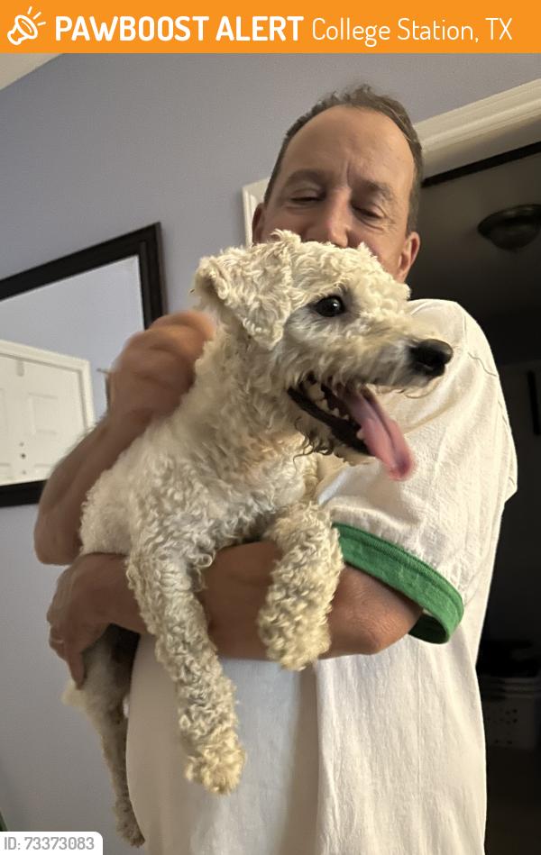 Found/Stray Male Dog last seen Von Trapp dr at Marta dr, College Station, TX 77845
