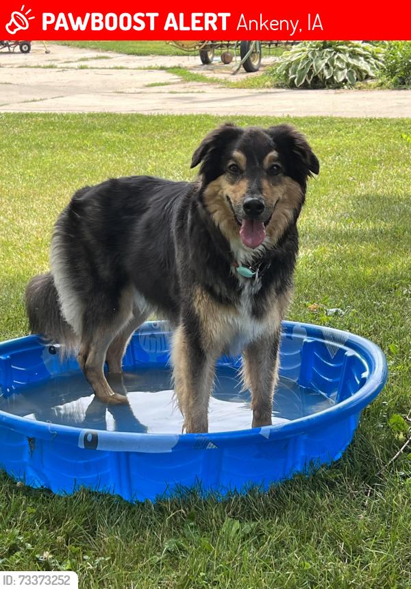 Lost Female Dog last seen Crestmoor Park, Ankeny, IA 50021
