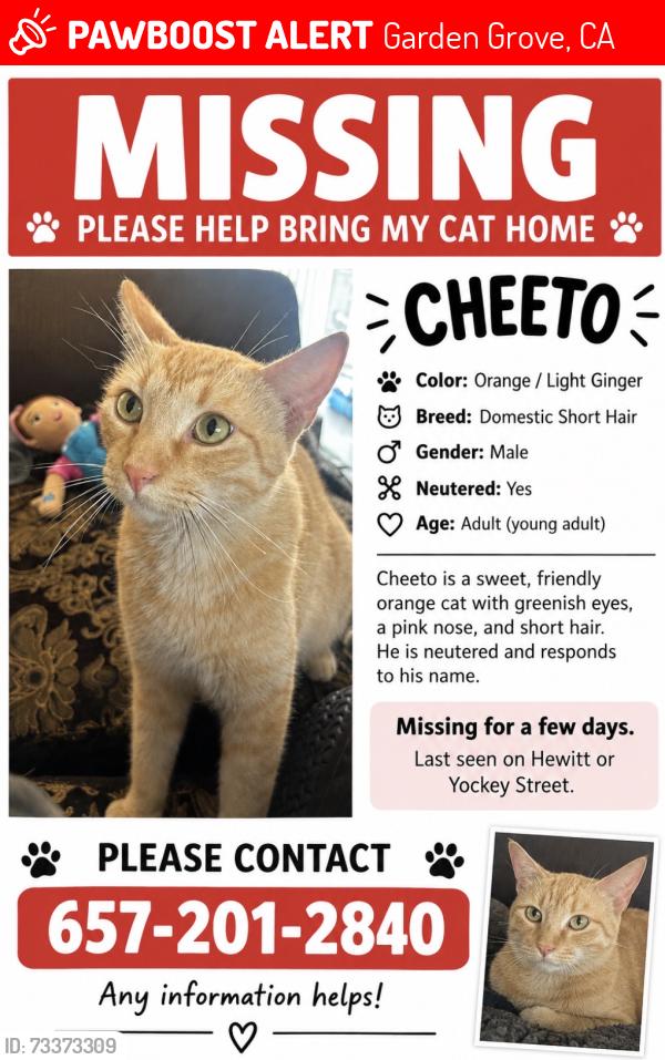 Lost Male Cat last seen Yockey Hewitt and Mays, Garden Grove, CA 92844