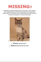 Lost Female Cat last seen Heritage drive sw- Elbow drive sw, Calgary, AB T2V 1K7
