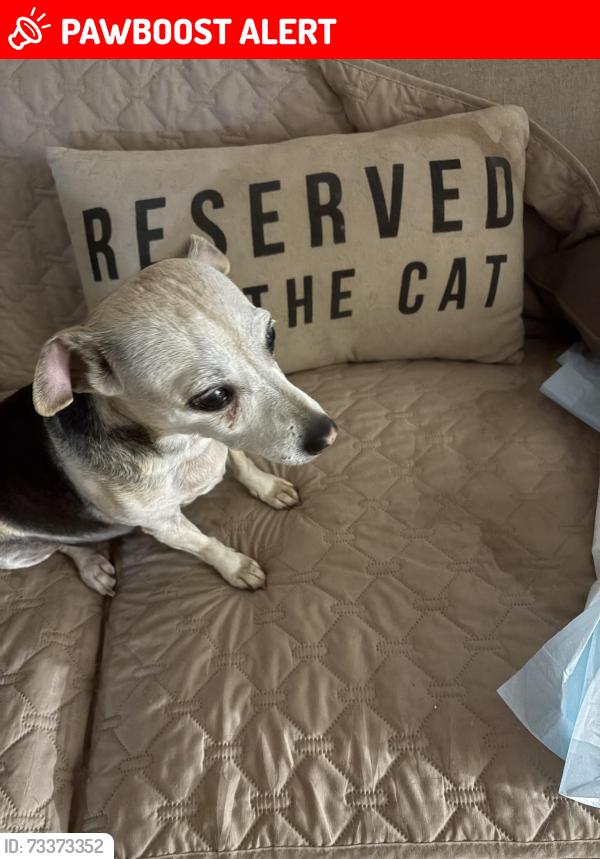 Found/Stray Male Dog last seen Wylake Dr, Gwinnett County, GA 30093