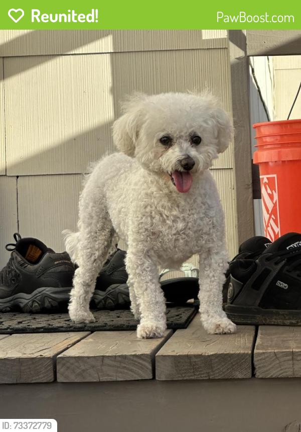 Reunited Female Dog last seen Highwood Ave. and Eastridge Ave., La Mesa, CA 91941