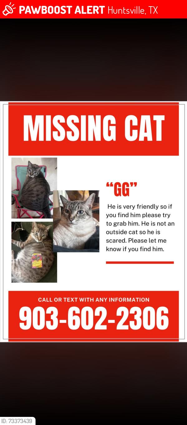 Lost Male Cat last seen Bearkat Cottages, Huntsville, TX 77340