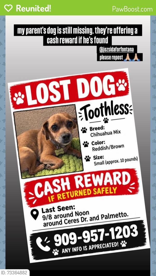 Reunited Male Dog last seen Ceres Dr and palmetto, Fontana, CA 92335