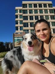 Reunited Male Dog last seen Gardenspring Brook Lane, Springbrook, TX 77379