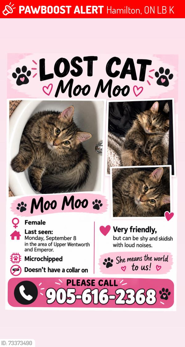 Lost Female Cat last seen Upper wentworth and emperor, Hamilton, ON L9B 2K4