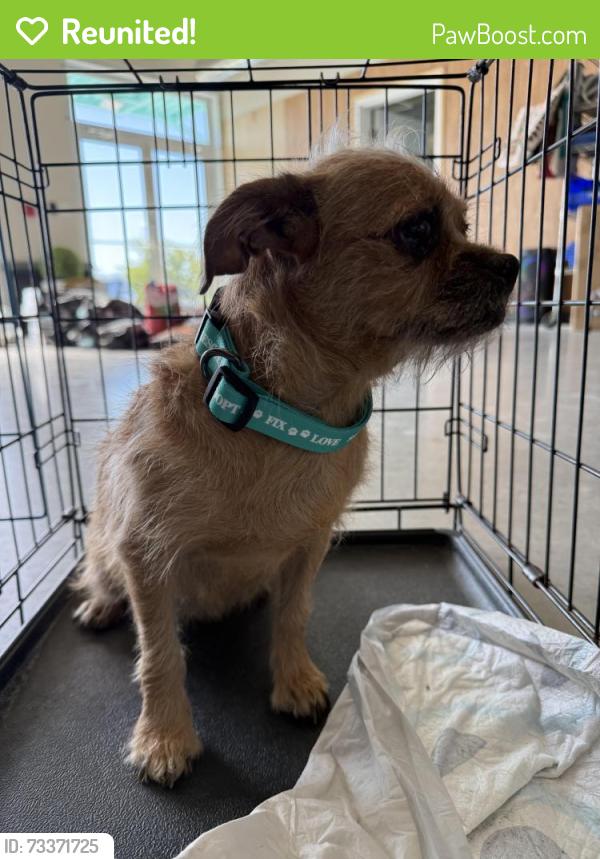 Reunited Female Dog last seen Near Aledo Iona Road, Aledo, TX 76008