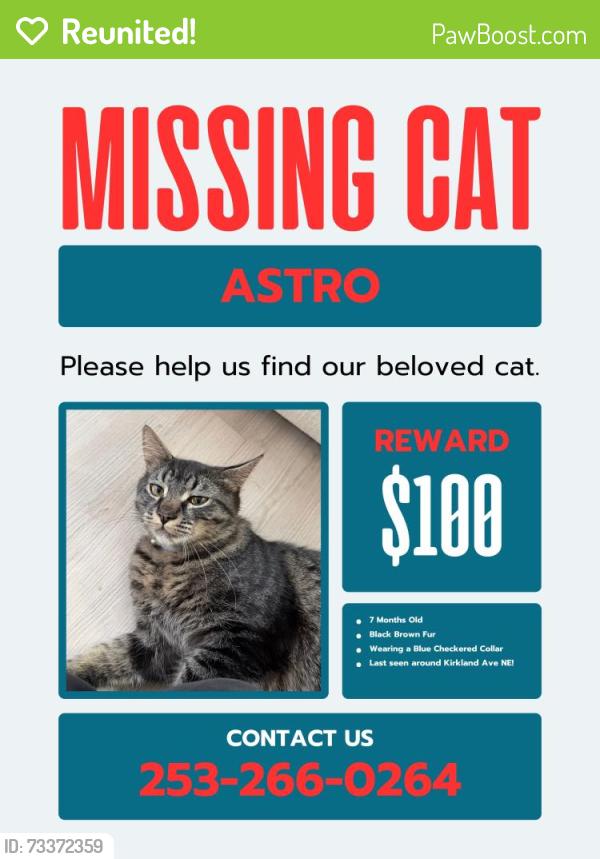 Reunited Male Cat last seen Kirkland Ave NE, Renton WA, Renton, WA 98056