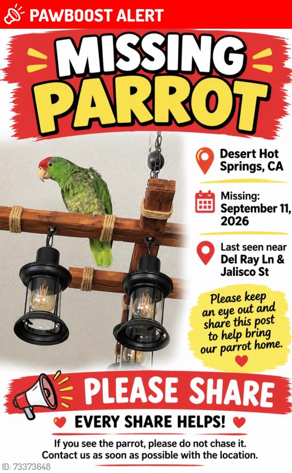 Lost Unknown Bird last seen Mission lakes, Desert Hot Springs, CA 92240