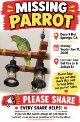 Lost Unknown Bird last seen Mission lakes, Desert Hot Springs, CA 92240