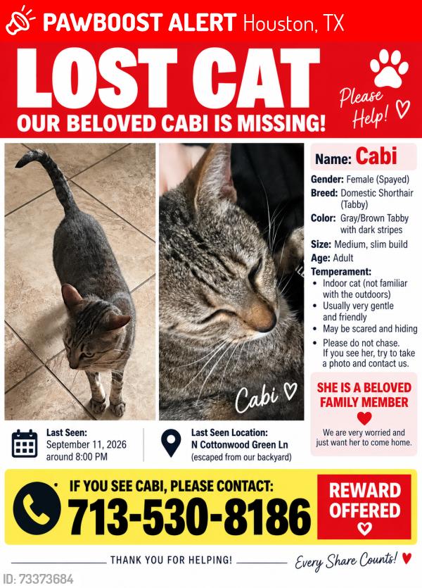 Lost Female Cat last seen N Cottonwood Green Ln, Houston, TX 77433