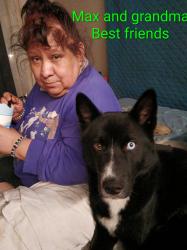 Lost Male Dog last seen Fresno 93728, Fresno, CA 93721
