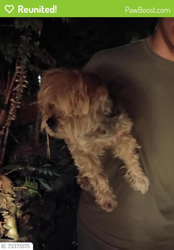 Reunited Unknown Dog last seen Kingbird Way and Kanob, Sacramento, CA 95842