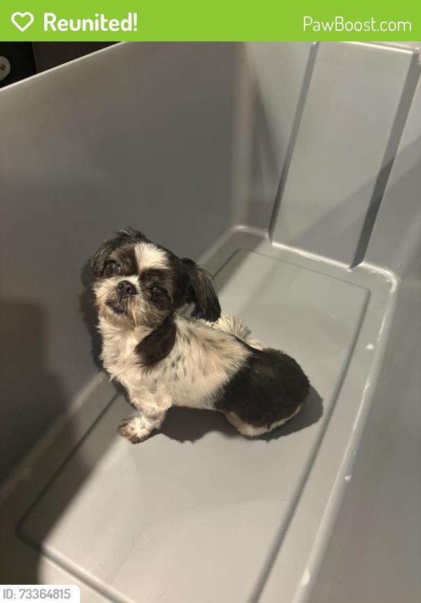 Reunited Female Dog last seen Freret and Peniston 70115, New Orleans, LA 70115