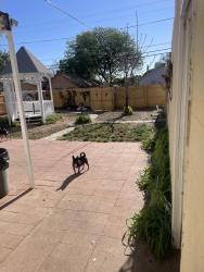 Lost Male Dog last seen Acero and Baystate, Pueblo, CO 81004