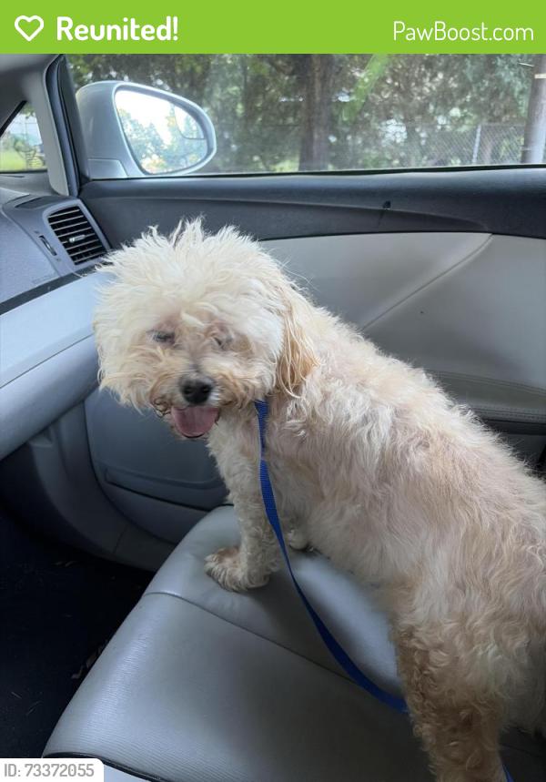 Reunited Male Dog last seen Howell Ave and Summit Ave, Ewing Township, NJ 08628