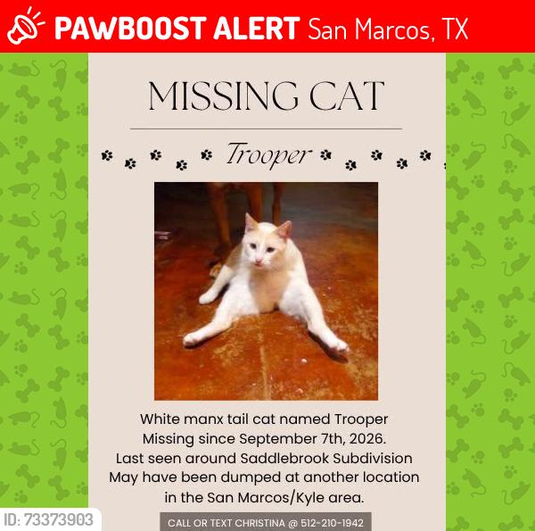 Lost Male Cat last seen Palermo Drive Saddlebrook subdivision, San Marcos, TX 78666