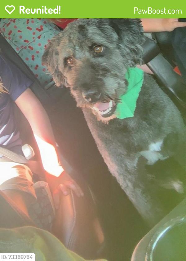 Reunited Male Dog last seen Near and 417, Spartanburg County, SC 29388