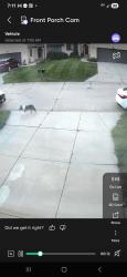 Found/Stray Unknown Dog last seen 108th and Fort area, Omaha, NE 68164