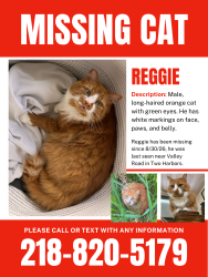 Lost Male Cat last seen Valley Road, Two Harbors, MN 55616