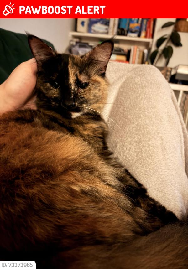 Lost Female Cat last seen Westover Road Bristol, Bristol City, England BS9 3LT