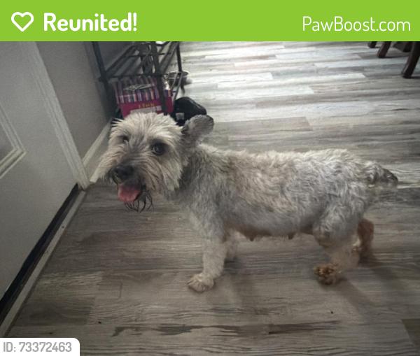 Reunited Female Dog last seen Near thyme ln, Baytown, TX 77521