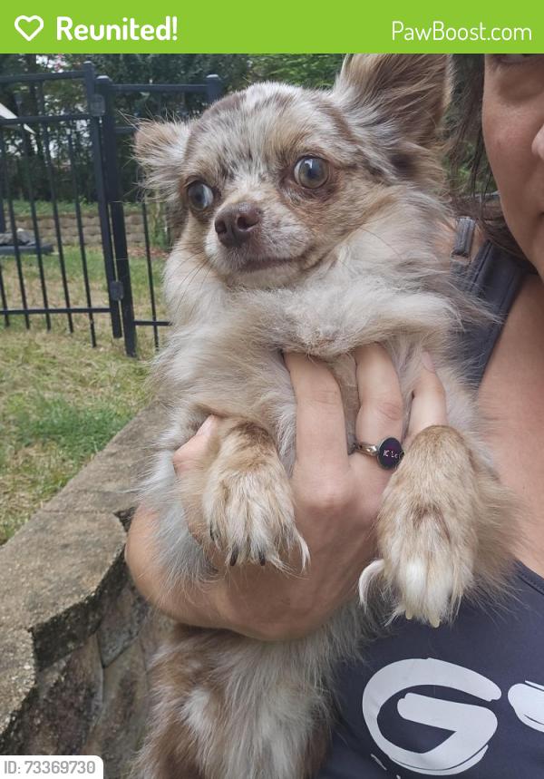 Reunited Male Dog last seen Carradale Way, Charlotte, NC 28278