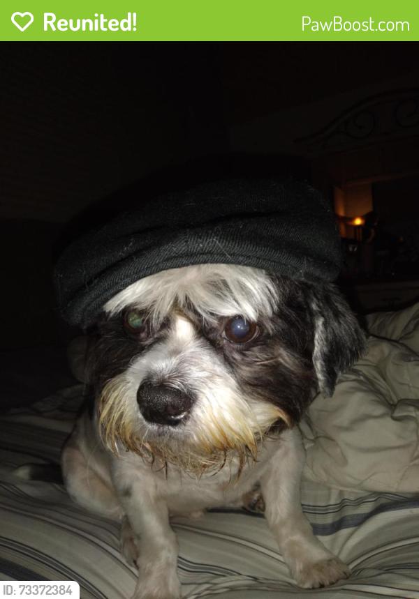 Reunited Male Dog last seen 76th and 58th, Vero Beach, FL 32968