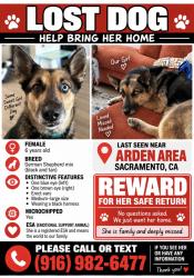 Lost Female Dog last seen Royal Rd, Sacramento, CA 95815