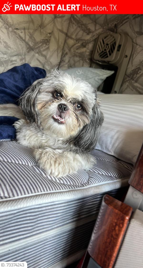 Lost Female Dog last seen Beltway8 and woodforest blvd, Houston, TX 77015