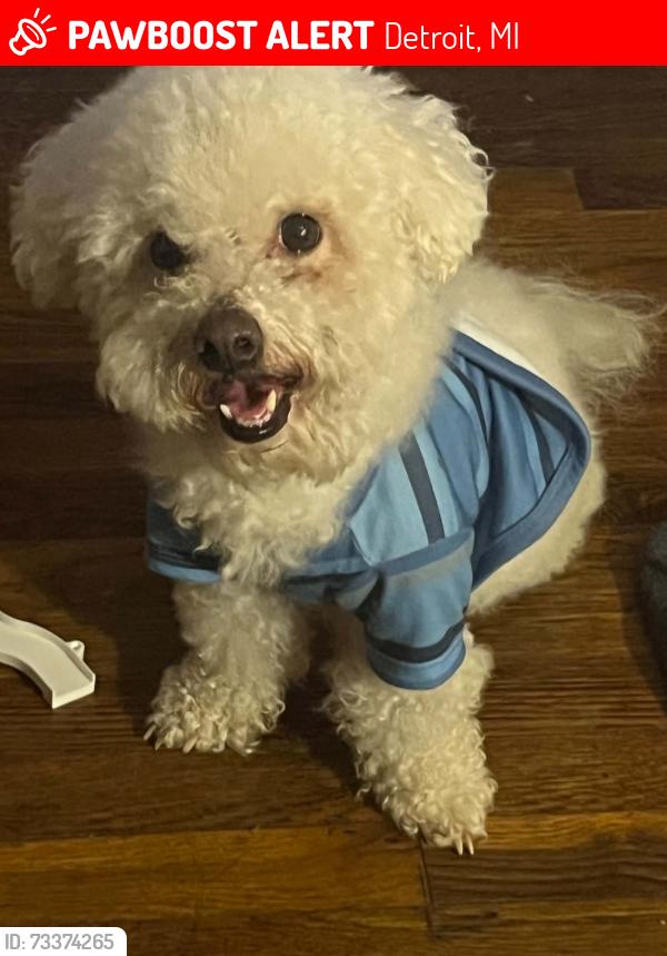 Lost Male Dog last seen Joy Rd, Detroit, MI 48228