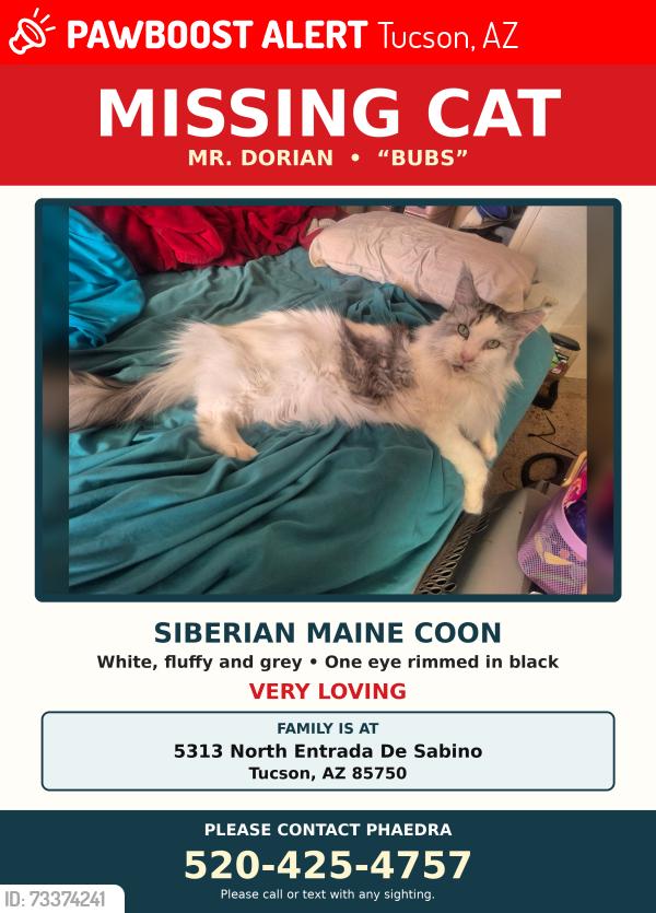 Lost Male Cat last seen Sabino Canyon and North Entrada De Sabino, Tucson, AZ 85750