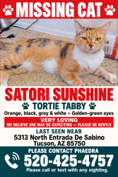 Lost Female Cat last seen Sabino Canyon and North Entrada De Sabino, Tucson, AZ 85750