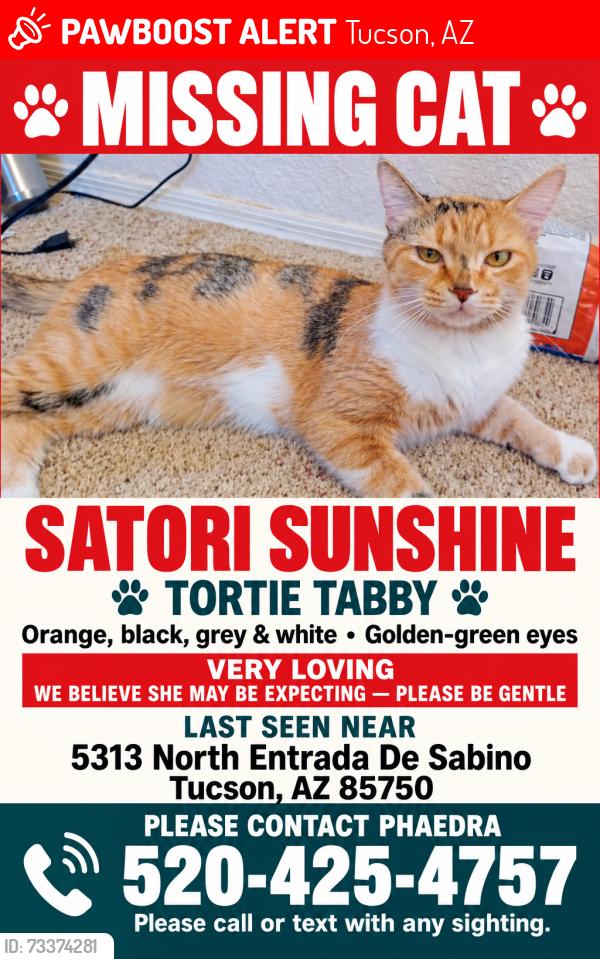 Lost Female Cat last seen Sabino Canyon and North Entrada De Sabino, Tucson, AZ 85750