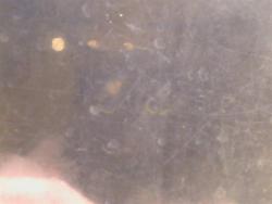 Shelter Stray Female Cat last seen BRADSHAW RD/GOETHE RD, 95827, 3839 Bradshaw Rd, Sacramento, CA 95827, USA