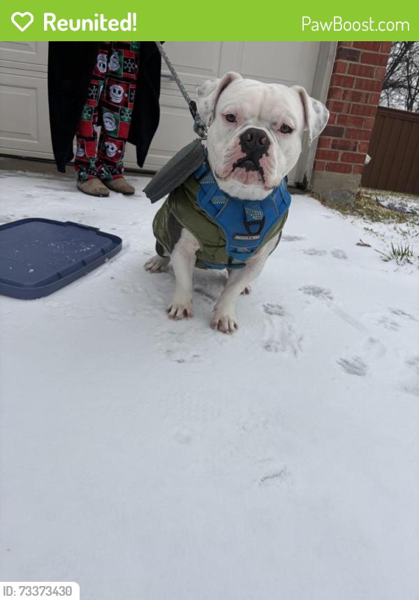 Reunited Male Dog last seen Eagle Mountain Dr Little Elm Tx 75068, Little Elm, TX 75068