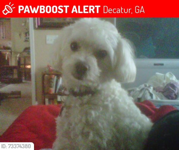 Lost Male Dog last seen Riverside parkway, Decatur, GA 30034