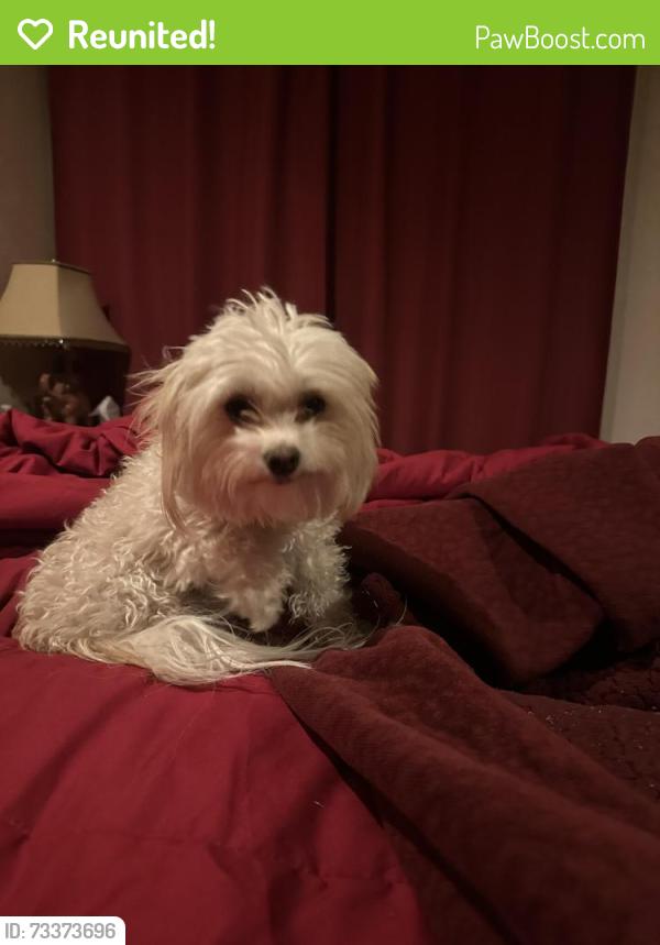Reunited Female Dog last seen Timberlake ests, Azle, TX 76020