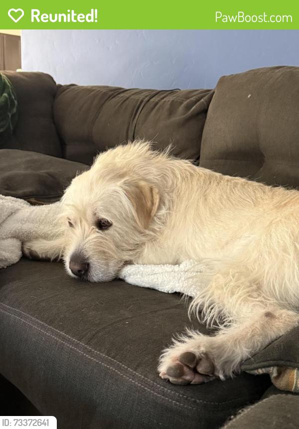 Reunited Female Dog last seen Claggett Landing Rd, Upper Marlboro, MD 20774