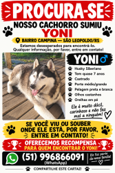 Lost Male Dog last seen Churrasquinho do fritz, campina são Leopoldo RS, Campina, RS 