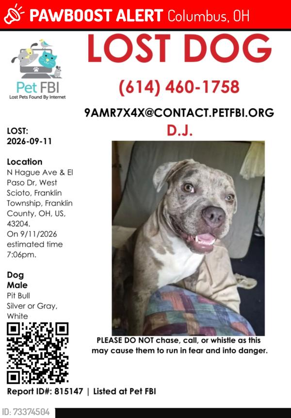 Lost Male Dog last seen N. Hague ave. And El Paso Dr., Columbus, OH 43204