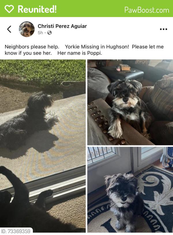 Reunited Female Dog last seen Charles/Fox, Hughson, CA 95326