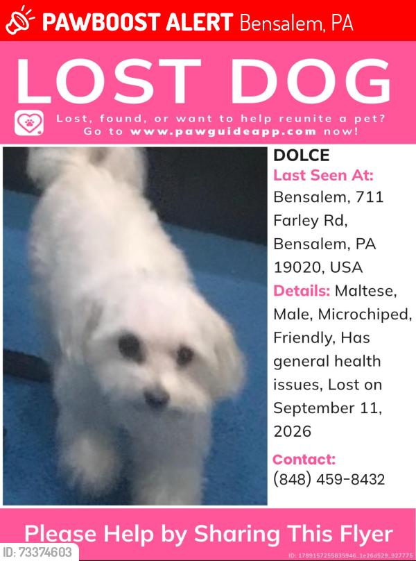 Lost Male Dog last seen Near Farley Road, Bensalem, PA 19020