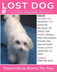 Lost Male Dog last seen Near Farley Road, Bensalem, PA 19020