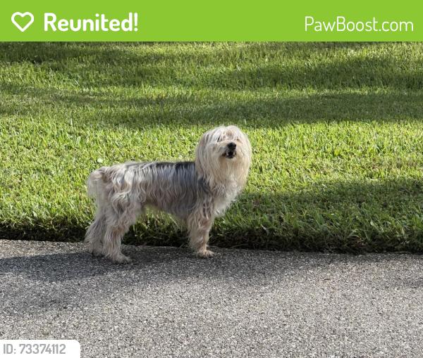 Reunited Unknown Dog last seen Man o war road, Palm Beach Gardens, FL 33418