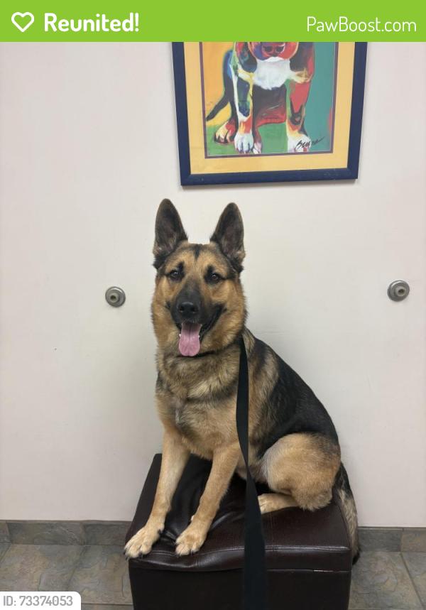 Reunited Male Dog last seen El dorado Ave se, Palm Bay, FL 32909