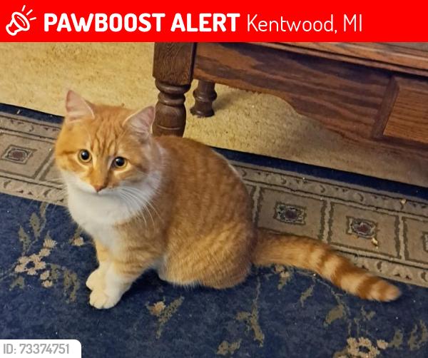 Lost Male Cat last seen Near Buck Creek and trail, Kentwood, MI 49548
