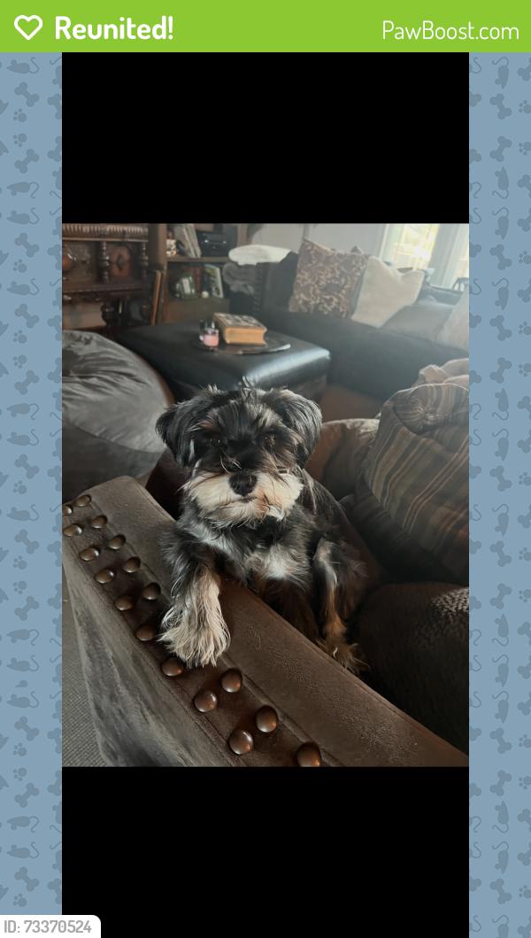 Reunited Female Dog last seen Pioneer/Redwood, Hughson, CA 95326